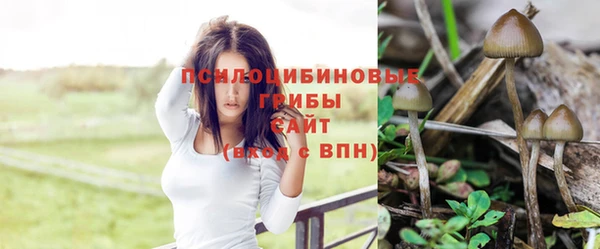mix Аркадак