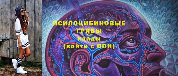 прущие крисы Армянск