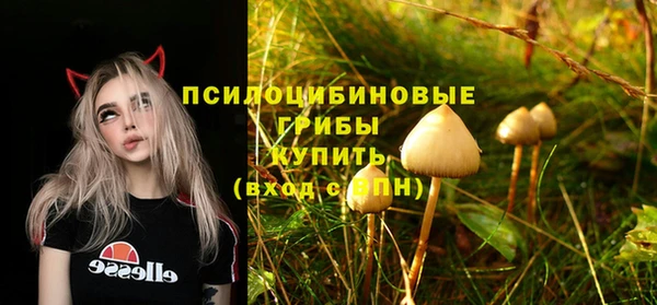 mix Аркадак